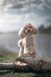 Similar image 21269733