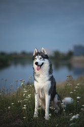 Similar image 21269734