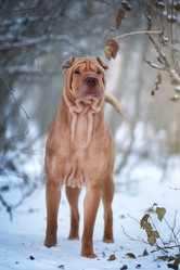 Similar image 21269735