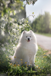 Similar image 21269736