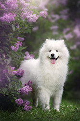 Similar image 21269738