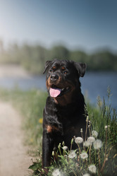 Similar image 21269739