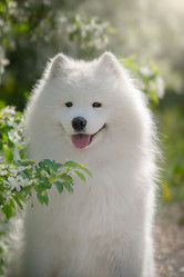 Similar image 21269740