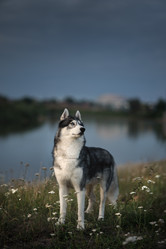 Similar image 21269742