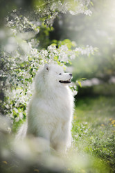 Similar image 21269744