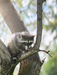 Similar image 21269747