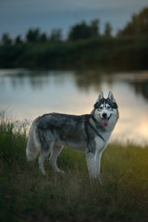 Similar image 21269750