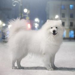 Similar image 21269752