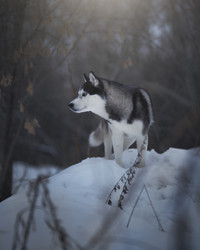 Similar image 21263685