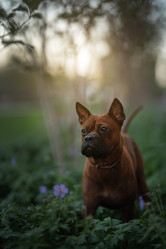 Similar image 21263686