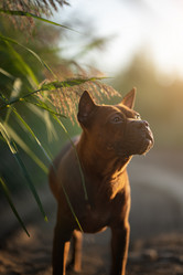 Similar image 21269754