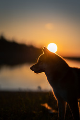 Similar image 21269757