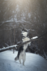 Similar image 21269758