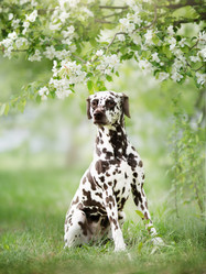 Similar image 21269760