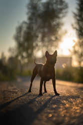 Similar image 21269761