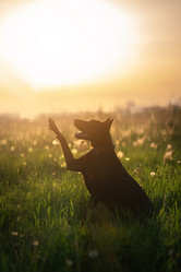 Similar image 21269764