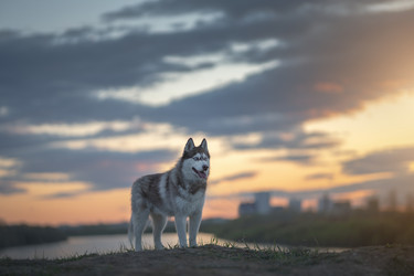 Similar image 21269766