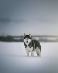 Similar image 21269767