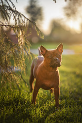 Similar image 21269772