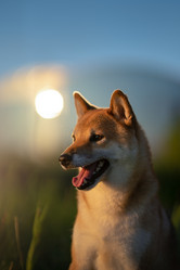 Similar image 21269773