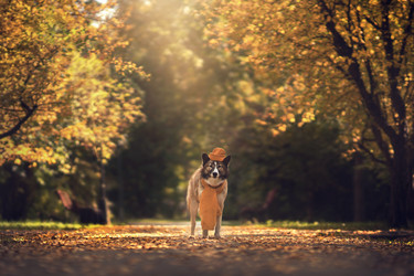 Similar image 21269775