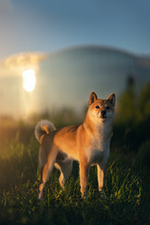 Similar image 21269777