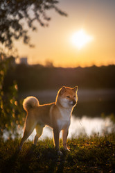 Similar image 21269778