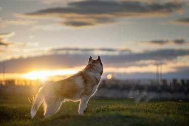 Similar image 21269782