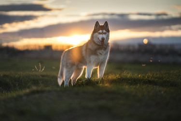 Similar image 21270035