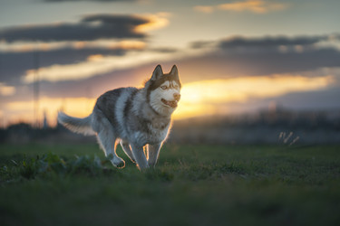 Similar image 21270038