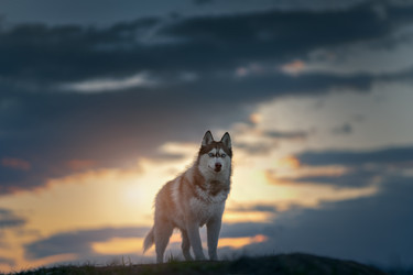 Similar image 21270050