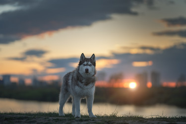 Similar image 21270051