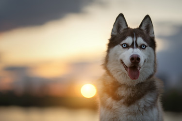 Similar image 21268960