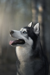 Similar image 21269783