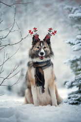 Similar image 21263687