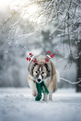 Similar image 21268901