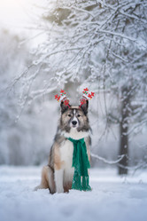 Similar image 21268902