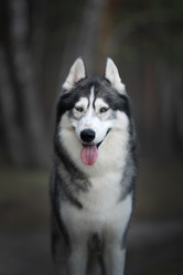 Similar image 21268903