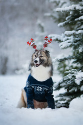 Similar image 21268941