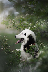 Similar image 21268942