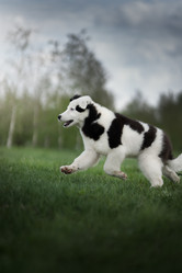 Similar image 21268962