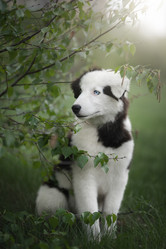 Similar image 21269784