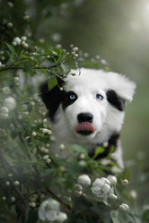 Similar image 21269786