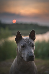 Similar image 21269787