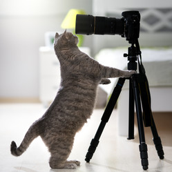 Similar image 21269788