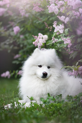 Similar image 21269789