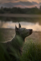 Similar image 21269791