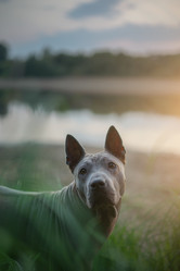 Similar image 21269792