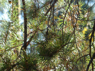 Similar image 21278291