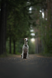 Similar image 21268932